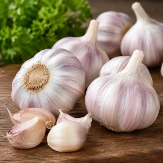 Garlic
