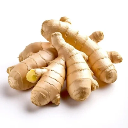 Ginger (Ada)