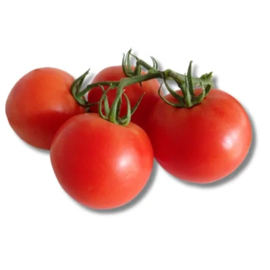 Fresh Tomato