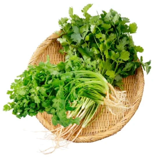 Coriander Leaves