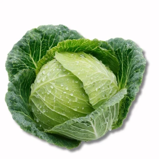 Cabbage