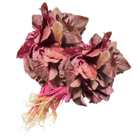 Red Amaranth (Lal Shak)