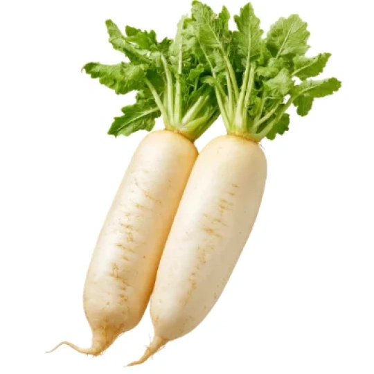 Radish (Mulo)