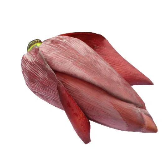 Banana Flower (Mocha)