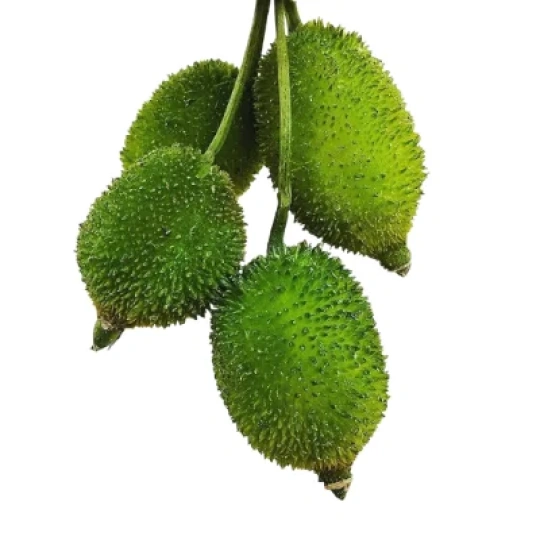 Green Spine Gourd (Ghee Karala)