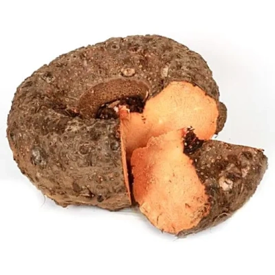 Elephant Foot Yam (Ol)