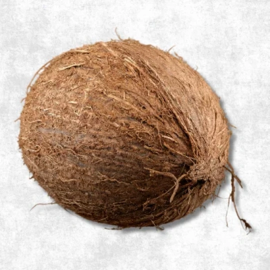 Coconut (Mature)