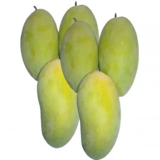 Mango - Langra