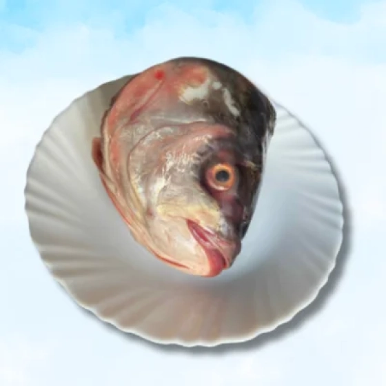 Fresh Catla Fish Head