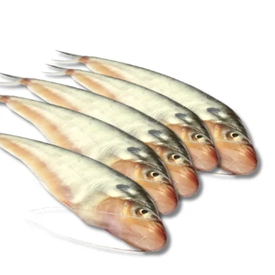 Premium Fresh Pabda Fish (Whole, Cleaned)
