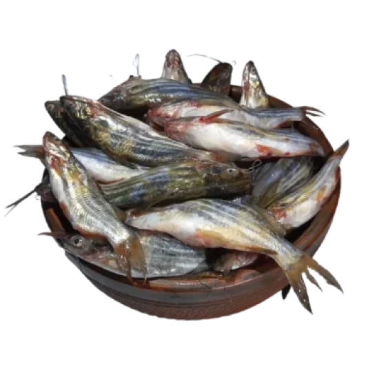 Fresh Desi Tangra Fish (Cleaned & Ready to Cook)