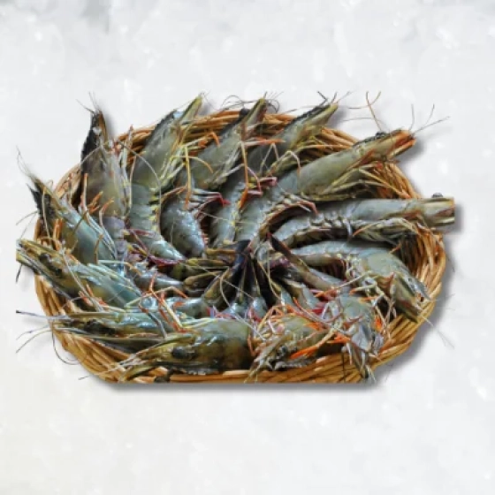 Fresh Bagda Chingri / Tiger Prawns (Cleaned & Deveined)