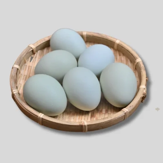 Fresh White Eggs | High Protein