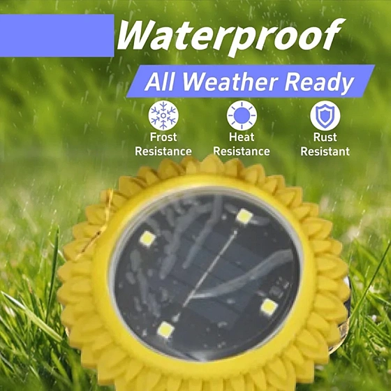 Solar Ground Lights – Waterproof LED Pathway Illumination