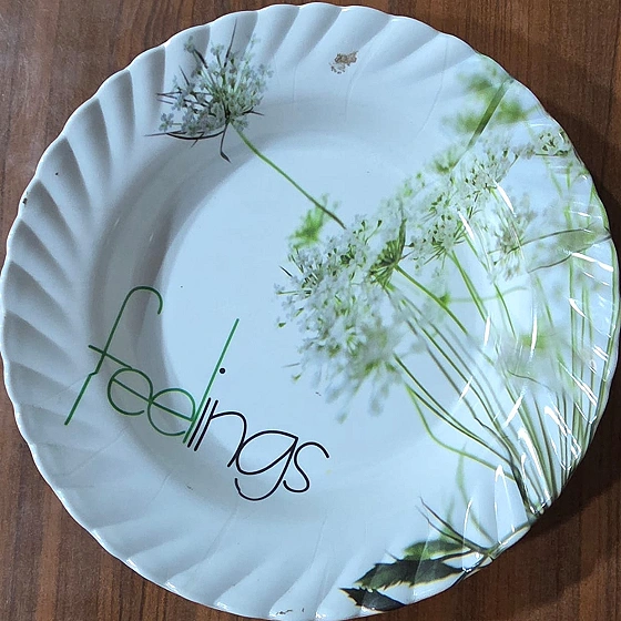 Melamine Saucer Plate Dinner 28 cm